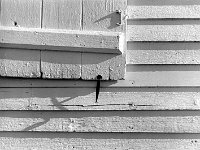 Shaker Shutter Pleasant Hill, Kentucky - 1976