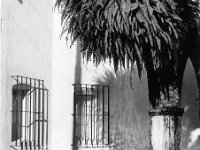 Cuernavaca Fountain Cuernavaca, Mexico - 1988