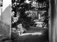 Cuernavaca Walkway Cuernavaca, Mexio - 1991