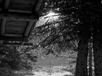 Back of Cabin E. Rosebud Lake, Montana - 2004