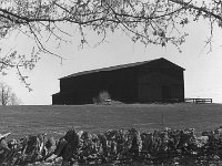 Tobacco Barn Jessamine County, Kentucky - 1976