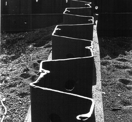 Paul Whiting Photography